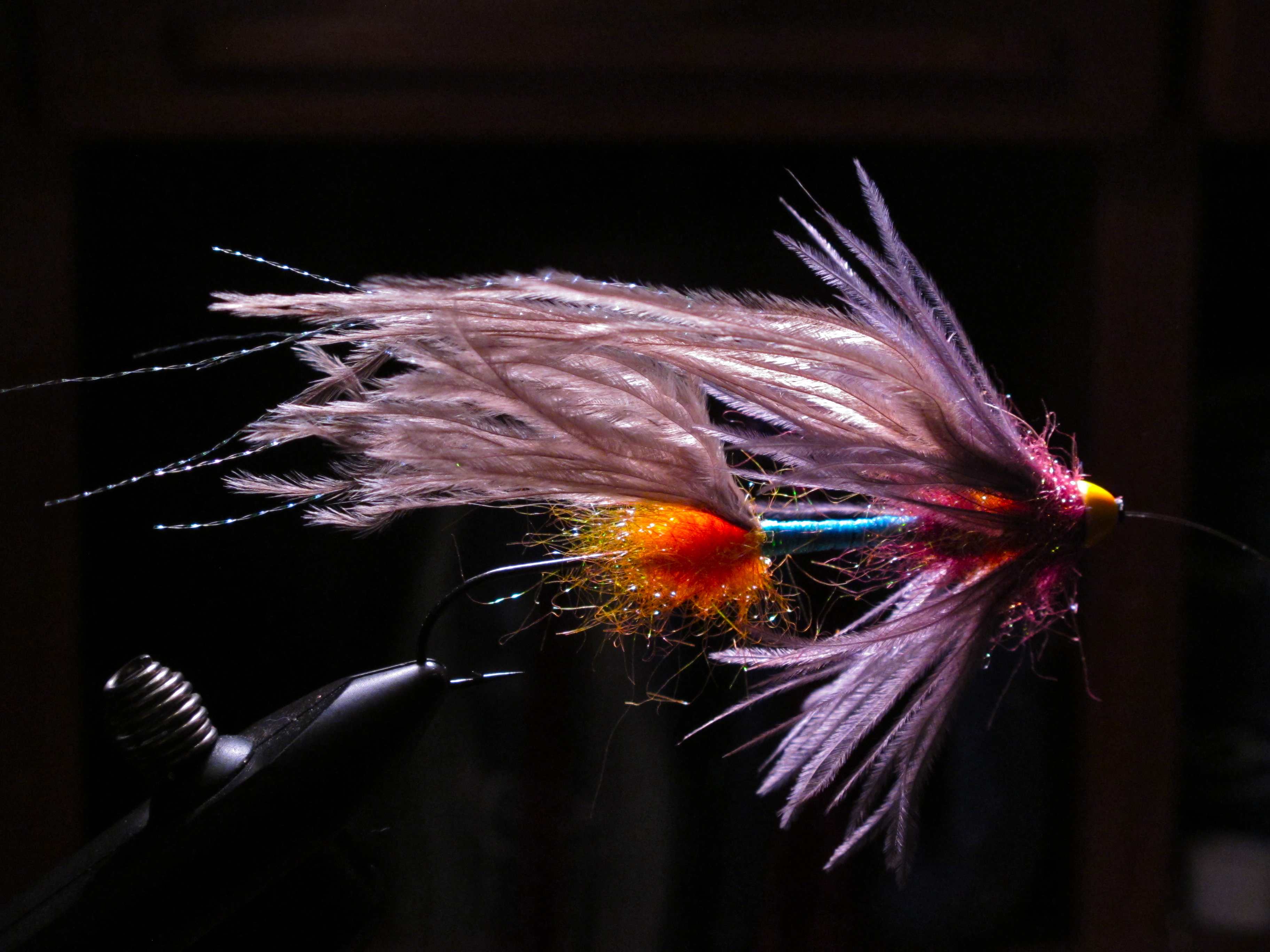 Flies Jay Fishing and With - | Jay\'s - Life