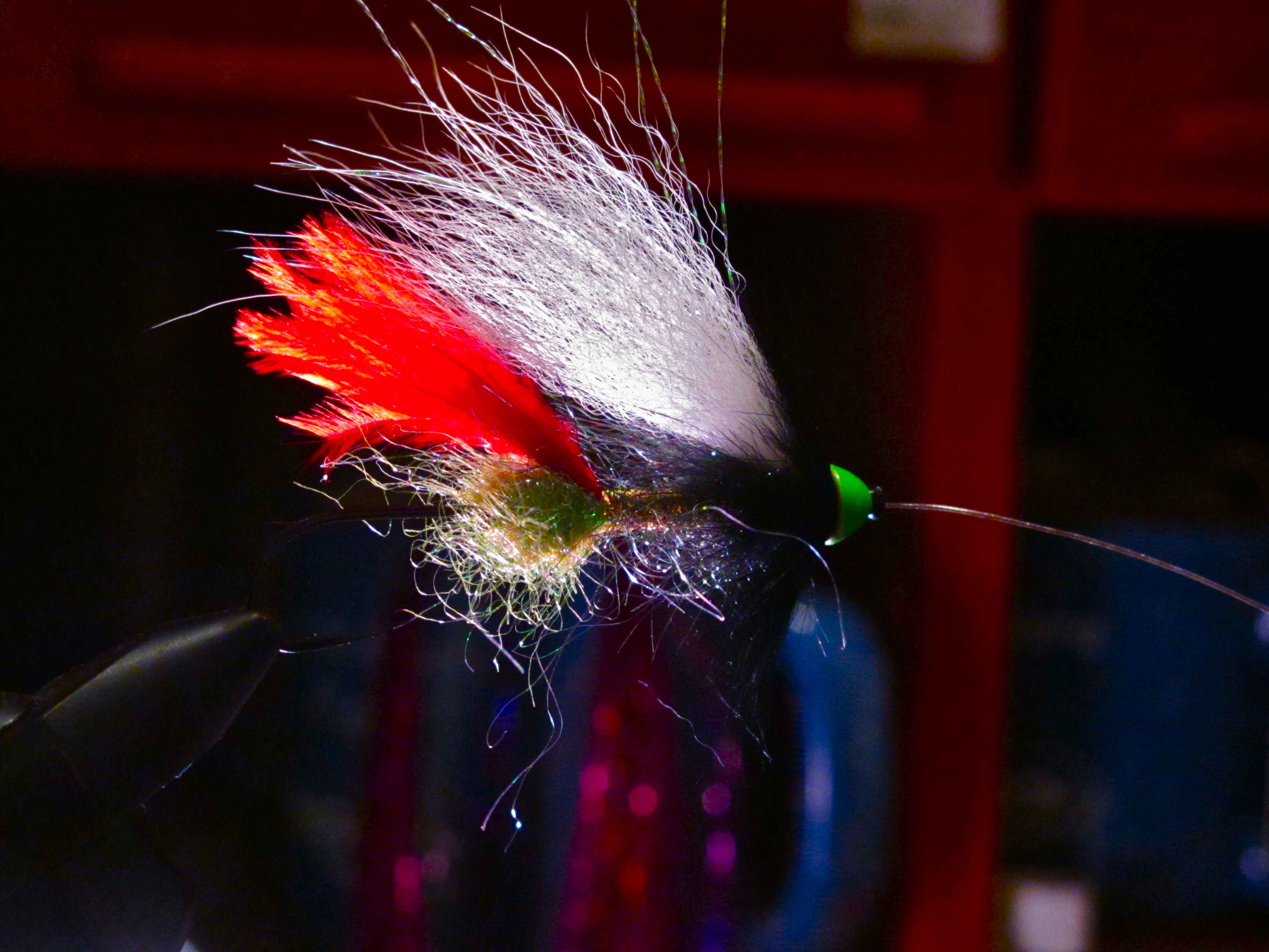 Life Fishing Jay With and - | Jay\'s Flies -